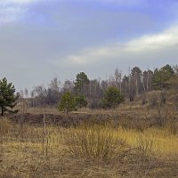 Мартовская акварель. :: Инна Щелокова