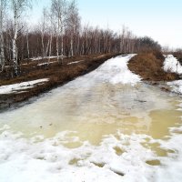 Распутица апрельская.. :: Андрей Заломленков