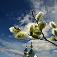 С ПРАЗДНИКОМ СВЕТЛОЙ ПАСХИ! ДРУЗЬЯ! :: Galina ✋ ✋✋