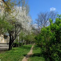 Ростовская весна :: Нина Бутко