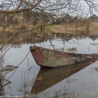 Затопленная лодка. :: Виктор Евстратов