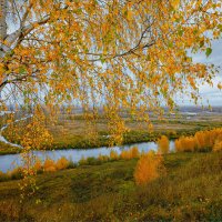 Осенние мотивы... :: Александр Никитинский