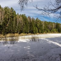 Апрель в Сибири :: Олег Мартоник