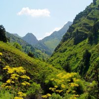 ДОЛИНА КУЛОСЬИ. :: Виктор Осипчук