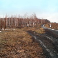 По дорожкам апреля.. :: Андрей Заломленков