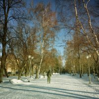 Апрельское утро... :: Валерий Молоток