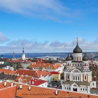 Fotostuudio Akolit,Tallinn, Arkadi Baranov fotograaf. :: Аркадий  Баранов Arkadi Baranov