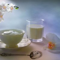 Молочные продукты :: Наталия Лыкова