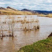 Весеннее половодье :: Любовь Потеряхина