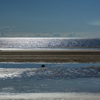 Белое море, убылая вода :: Павел Харлин