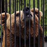 Этот сладкий воздух свободы... :: Асылбек Айманов