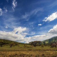 Путешествуя по Танзании! :: Александр Вивчарик