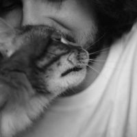 Человек и кот :: Юля Грек