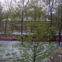 снег 8 мая :: Валерий Самородов