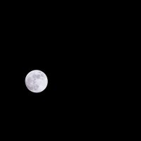 Луна :: Марина Киреева