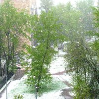 Снегопад в Москве  8 мая 2017г. :: Владимир Драгунский