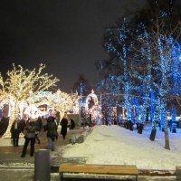 Новогодние деревья :: Дмитрий Никитин