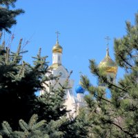 Купола храма Казанской иконы Божией Матери :: Нина Бутко