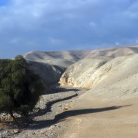 Пустыня Арава. Израиль. :: Надя Кушнир
