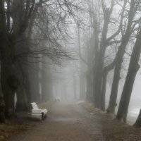 В тумане утреннем.... :: Юрий Цыплятников