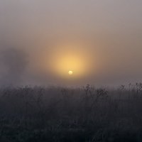 Утро туманное (восход)..... :: Александр Малышев
