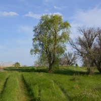 Мои дороги. :: Виктор ЖИГУЛИН.