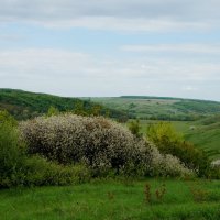 КРАСОТА РОДНЫХ ПРОСТОРОВ... :: Наталья Меркулова