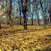 "Осенний парк" :: Александр 