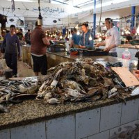 Рынок  Туниса :: Марина 