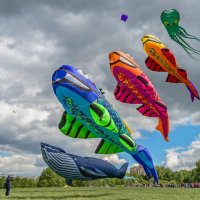 Царицыно - XV весенний фестиваль воздушных змеев "Пестрое небо" :: Борис Гольдберг