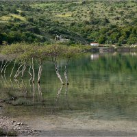 Озеро Курнас, Крит. :: Lmark 