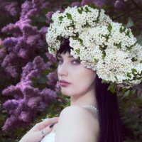 The Queen of Spring :: Olesia Kasabova