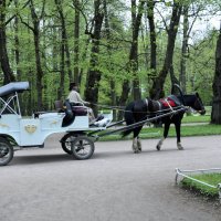 Парк в Павловске. Россия. :: Валерий Подорожный