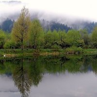 В Карпатах :: Роман Савоцкий