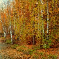 Осенняя пора :: Евгений Анисимов