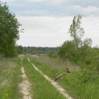 полевые дороги :: Михаил Жуковский