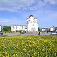 Прогулка по городу :: Елена Бирюкова