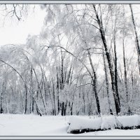 Зимний лес в Ромашково :: Юрий Яньков