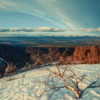 Кваркуш :: Ежъ Осипов