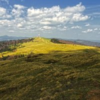 Полонына :: Роман Савоцкий