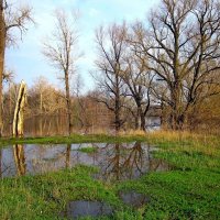 Большая вода :: Денис Кораблёв