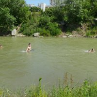 На   реке  Быстрице   Солотвинской   в   Ивано - Франковске :: Андрей  Васильевич Коляскин