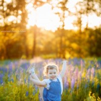 Малышка Варвара в поле с люпинами :: Дарья Дядькина
