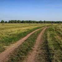 В лугах :: Сергей Михайлович