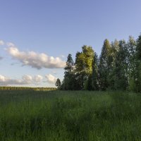 Прогулка по местам детских лет. :: Владимир Мальцев