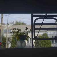 Взгляд из окна троллейбуса :: Владимир Николаевич