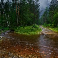 Дождливое лето :: vladimir Bormotov