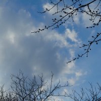 Эстафетацвета. Голубая пятница - мирное небо над Луганском, во всей красе :: Наталья (ShadeNataly) Мельник