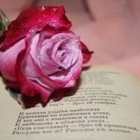 Роза и стихи :: Таня Фиалка