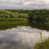 На Десне :: Лариса Березуцкая